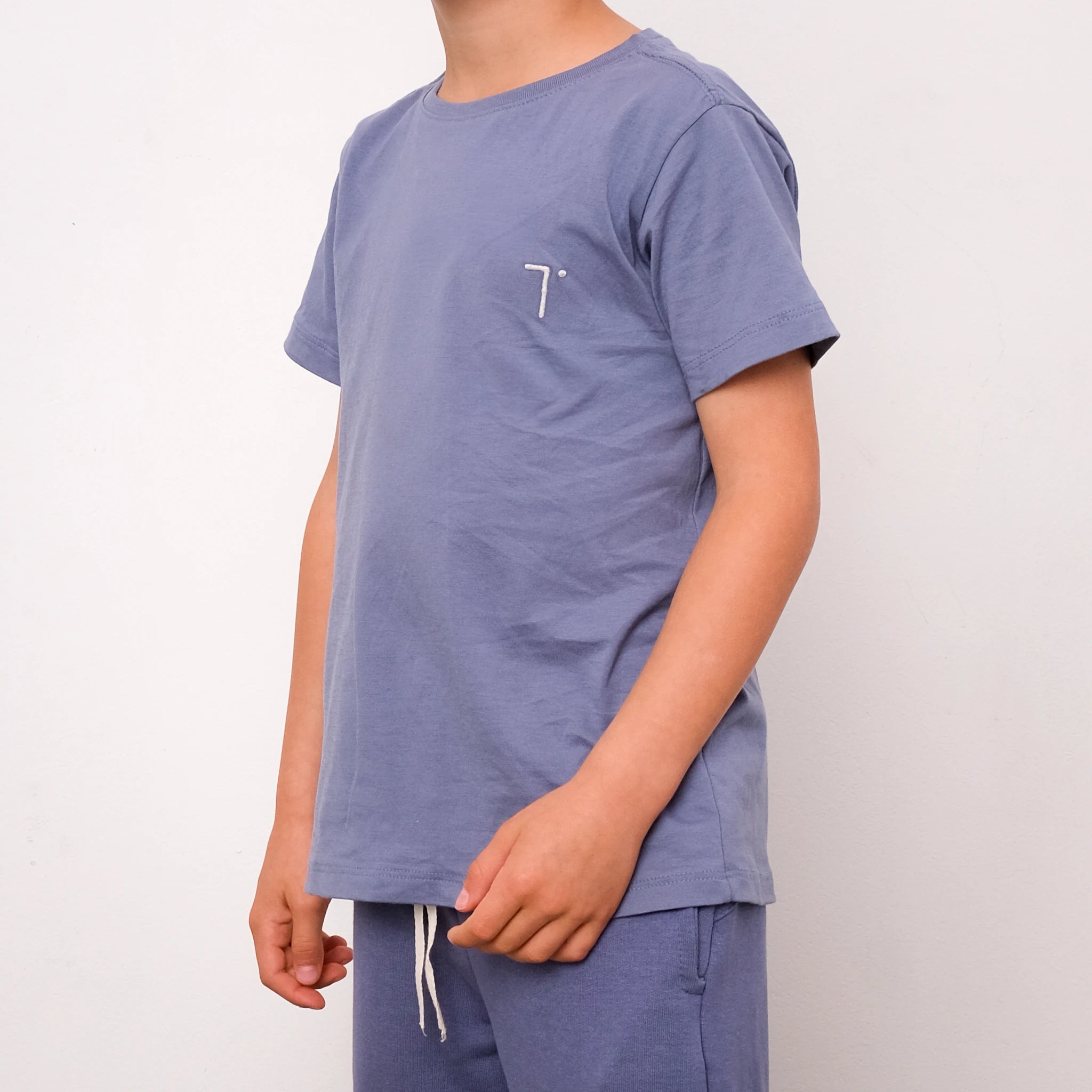 Camisetas